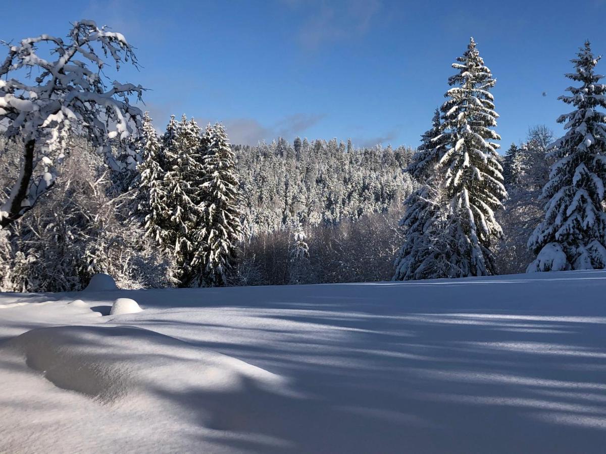 Gite Les Trois Pierres, Proche De Gerardmer Villa Liezey Bagian luar foto