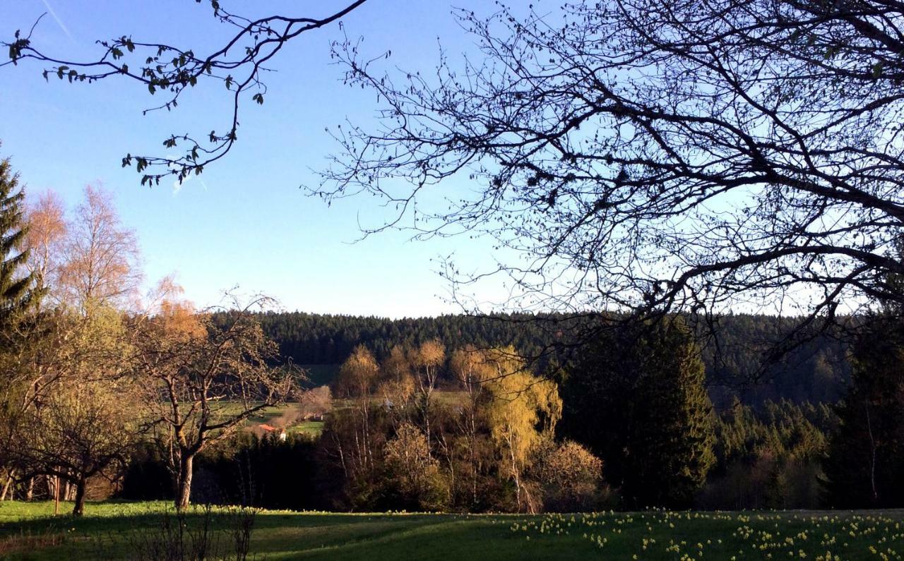 Gite Les Trois Pierres, Proche De Gerardmer Villa Liezey Bagian luar foto